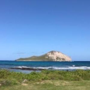 Meet your Posher, Annette